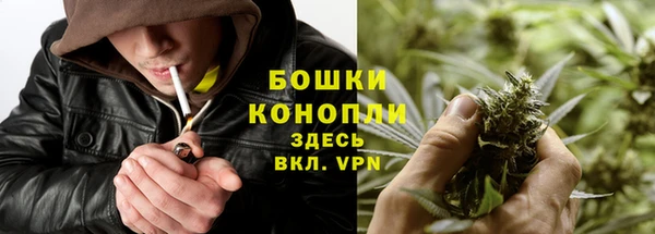 шишки Зеленокумск