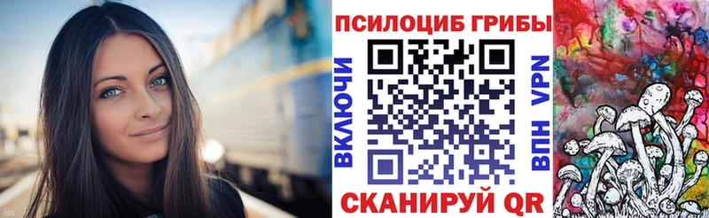 Псилоцибиновые грибы MAGIC MUSHROOMS  Катайск 